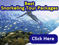 Best Snorkeling Tour Packages