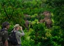 Kerala Wildlife Tour