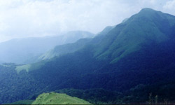 Coorg