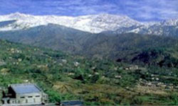 Kangra