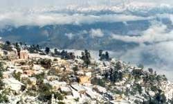 Pauri