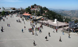 Shimla