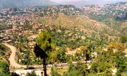 Solan