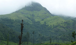 Wayanad