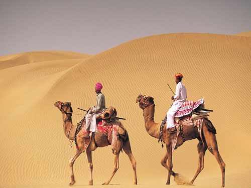 Desert Safari Tours