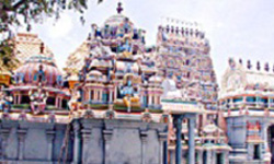 Vedapureeswarar Temple